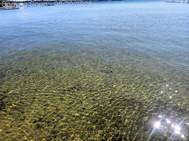 11329 E Shore Dr, Whitmore Lake, MI 48189 - water view