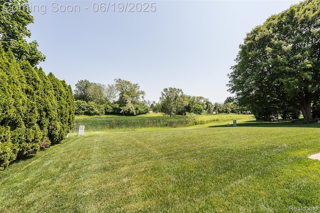 24320 Simmons Dr, Novi, MI 48374 - view of green lawn