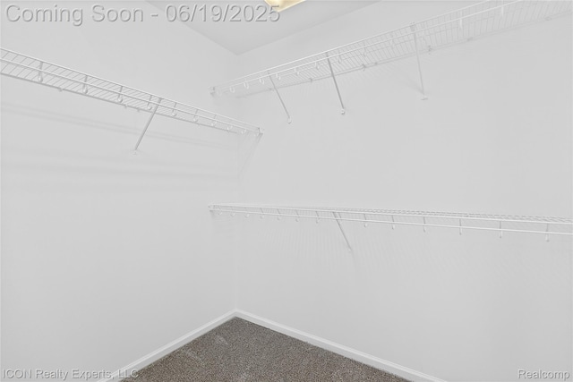 17922 Wingate Dr, Macomb, MI 48042 - walk in closet with carpet floors