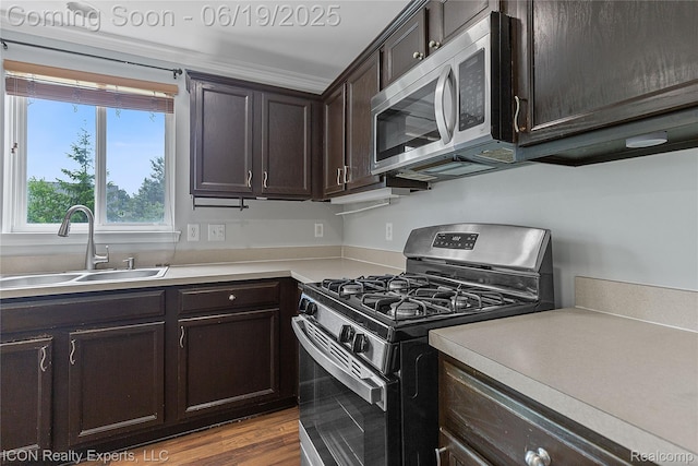 17922 Wingate Dr, Macomb, MI 48042 - kitchen with stainless steel appliances, dark brown cabinetry, light countertops, and wood finished floors