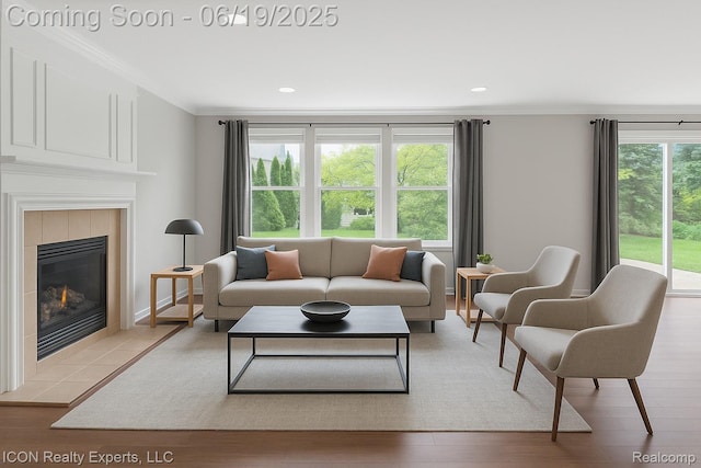 17922 Wingate Dr, Macomb, MI 48042 - living room featuring ornamental molding, a fireplace, light wood-style flooring, and recessed lighting