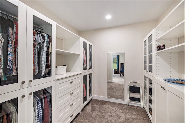 68363 Calvin Center Rd, Cassopolis, MI 49031 - spacious closet featuring dark carpet
