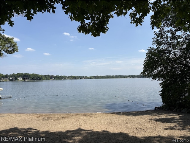 5089 Northfield Dr, Howell, MI 48843 - water view