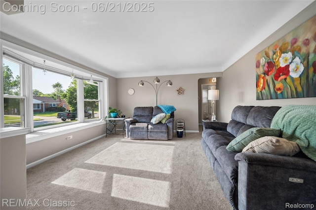 6622 Schaller St, Garden City, MI 48135 - carpeted living room with baseboards