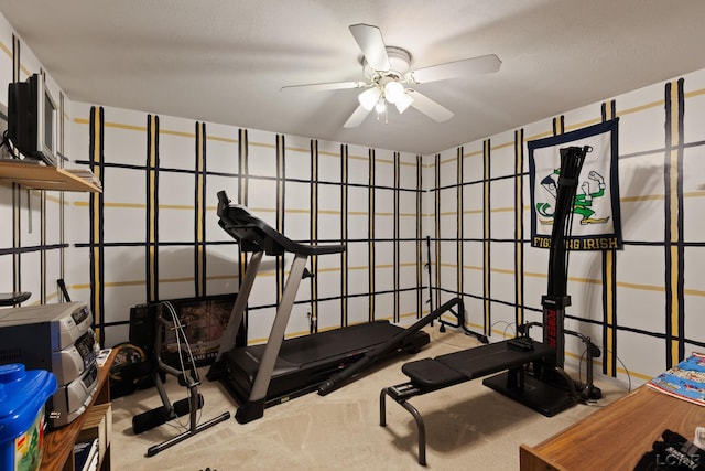 3564 Sapphire Dr, Adrian, MI 49221 - exercise area with a ceiling fan and carpet