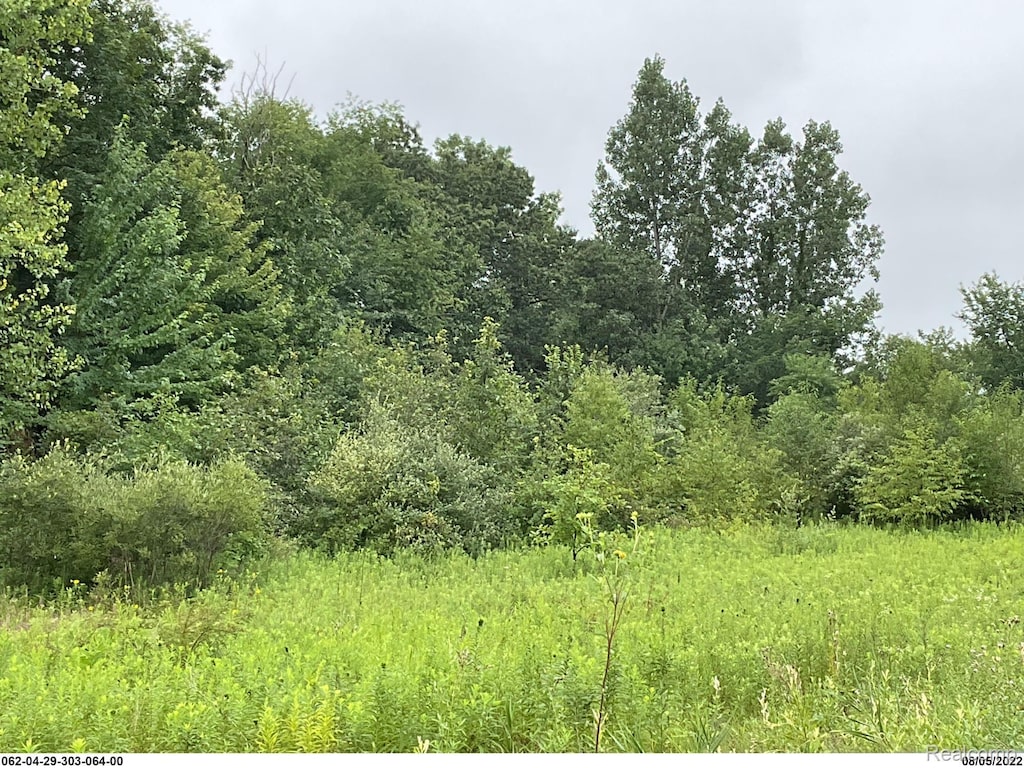 0 Erika Dr, Pleasant Lake, MI 49272