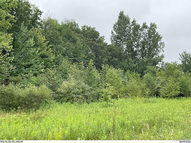 0 Erika Dr, Pleasant Lake, MI 49272