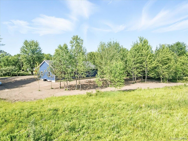 9711 Crawford, Columbus, MI 48063 - view of yard