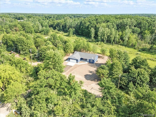 9711 Crawford, Columbus, MI 48063 - view of subject property with a heavily wooded area