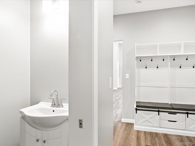 9711 Crawford, Columbus, MI 48063 - mudroom with light wood-type flooring and a sink