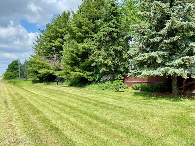 262 W Burns Line Rd, Melvin, MI 48454 - photo 51