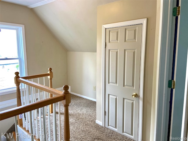 262 W Burns Line Rd, Melvin, MI 48454 - photo 35