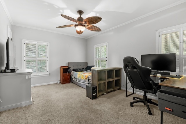 3517 Bronson Blvd, Kalamazoo, MI 49008 - photo 28