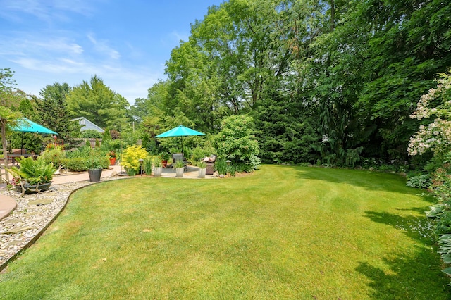 3517 Bronson Blvd, Kalamazoo, MI 49008 - photo 45