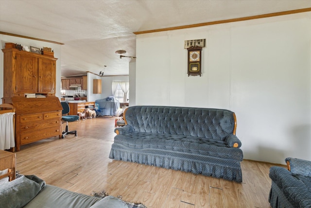 21576 220th Ave, Tustin, MI 49688 - living room featuring light wood-style floors, ornamental molding, and a textured ceiling