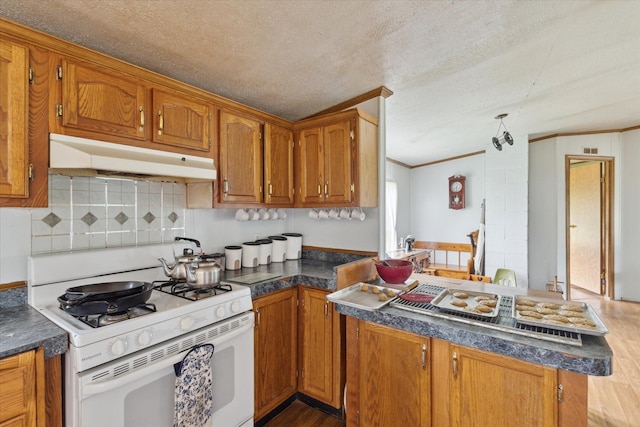 21576 220th Ave, Tustin, MI 49688 - kitchen with white range with gas stovetop, under cabinet range hood, wood finished floors, brown cabinetry, and ornamental molding
