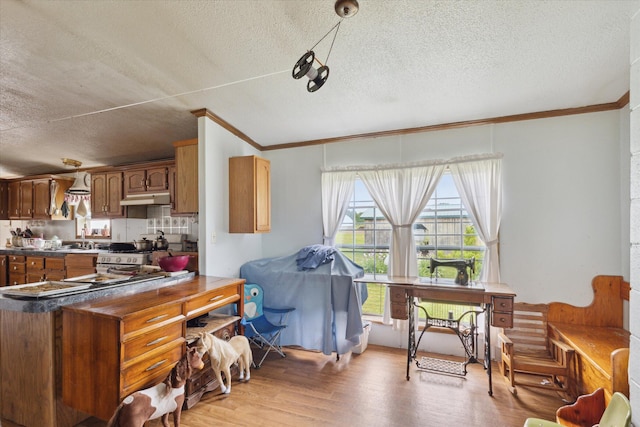 21576 220th Ave, Tustin, MI 49688 - kitchen with a textured ceiling, under cabinet range hood, crown molding, light wood finished floors, and brown cabinetry