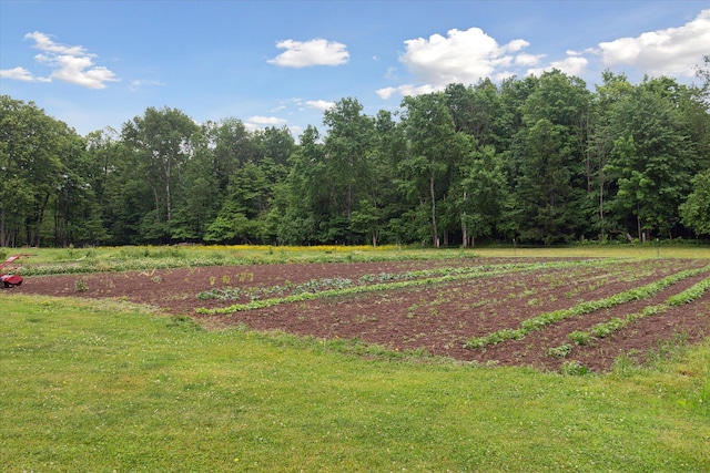 21576 220th Ave, Tustin, MI 49688 - view of grassy yard with a wooded view