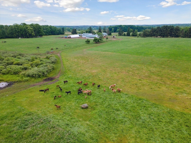 21576 220th Ave, Tustin, MI 49688 - overview of rural landscape with agricultural land