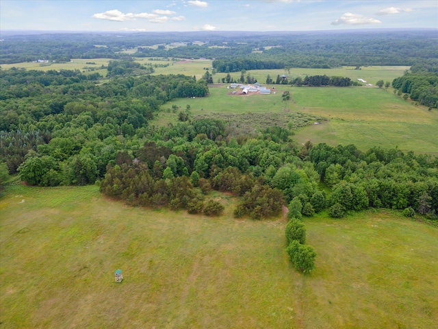 21576 220th Ave, Tustin, MI 49688 - view of rural area