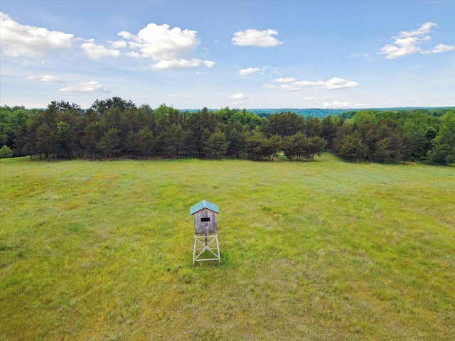 21576 220th Ave, Tustin, MI 49688 - view of green lawn