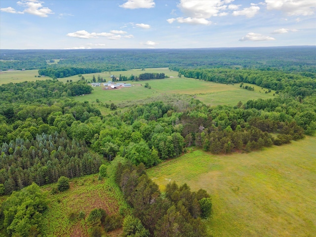 21576 220th Ave, Tustin, MI 49688 - bird's eye view of a heavily wooded area