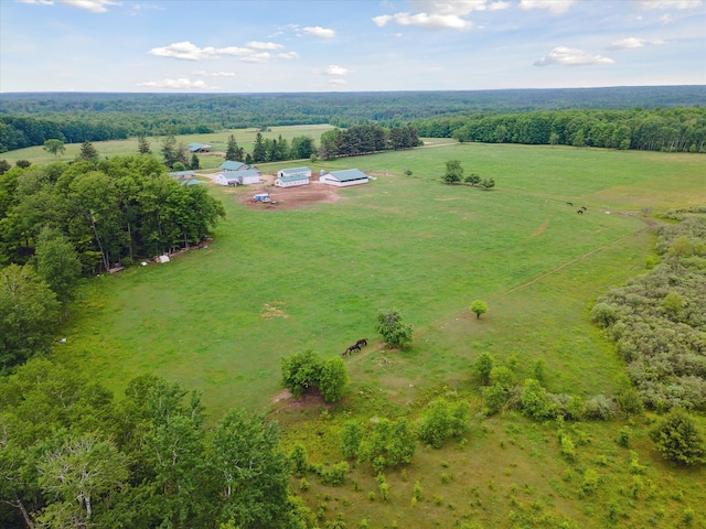 21576 220th Ave, Tustin, MI 49688 - view of rural area