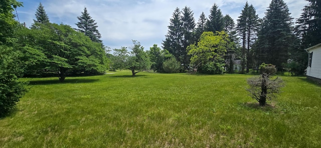 5580 S Meridian Rd, Hudson, MI 49247 - photo 49