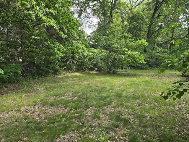 28548 Fairlane Dr, Dowagiac, MI 49047 - view of yard with a view of trees
