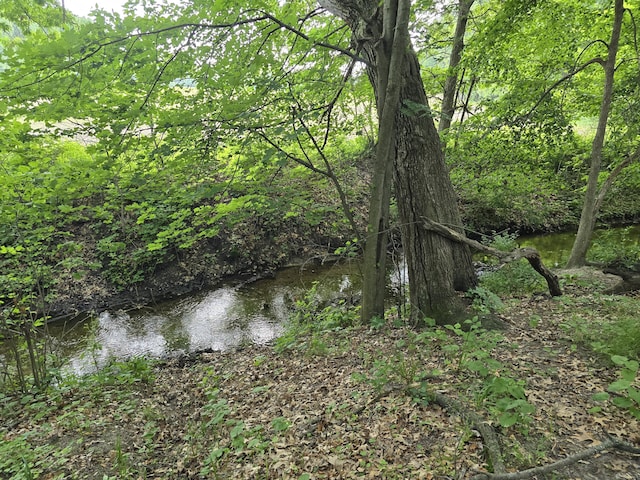 28548 Fairlane Dr, Dowagiac, MI 49047 - view of wooded area