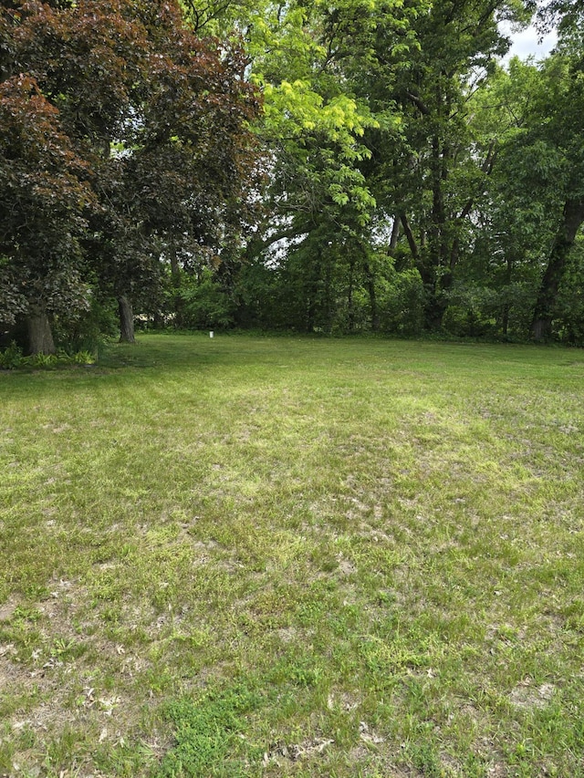 28548 Fairlane Dr, Dowagiac, MI 49047 - view of green lawn