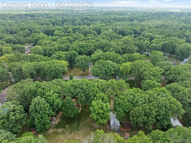 13256 Pine Valley Dr, Clio, MI 48420 - aerial view of a heavily wooded area