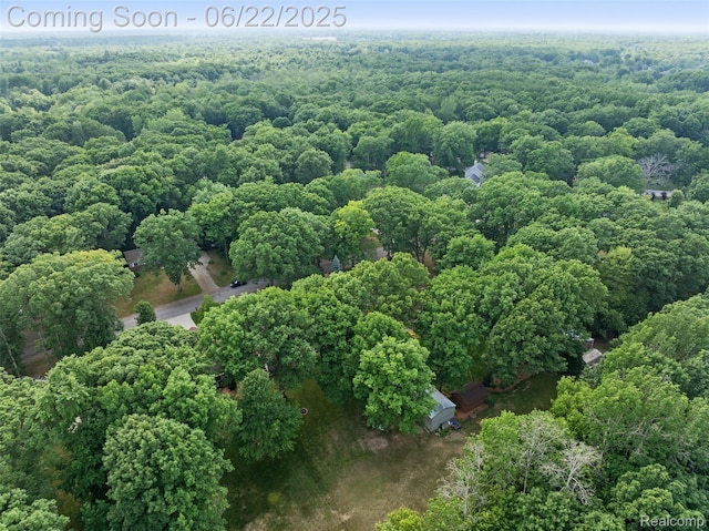13256 Pine Valley Dr, Clio, MI 48420 - drone / aerial view of a forest