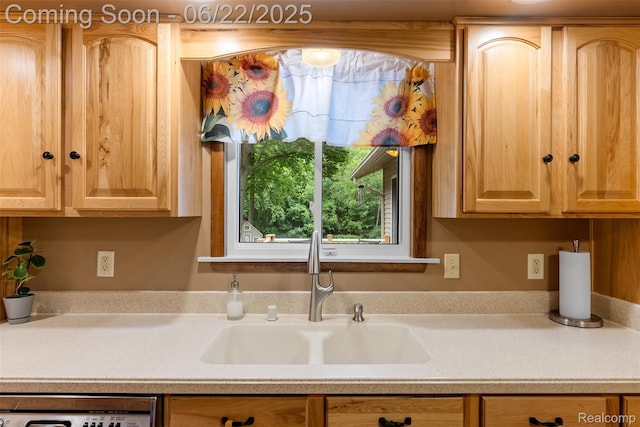 13256 Pine Valley Dr, Clio, MI 48420 - kitchen featuring light brown cabinets, dishwashing machine, and light countertops