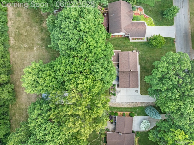 13256 Pine Valley Dr, Clio, MI 48420 - bird's eye view