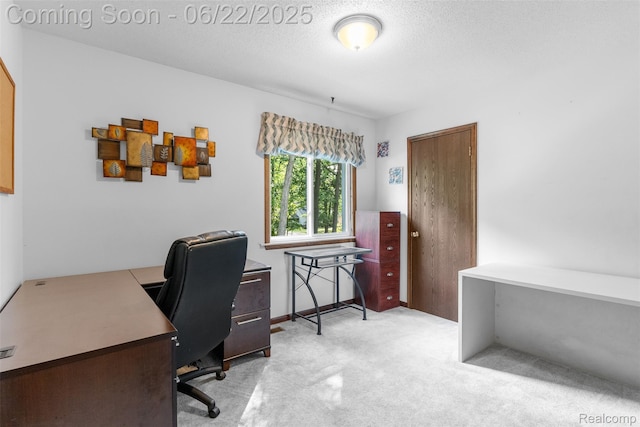 13256 Pine Valley Dr, Clio, MI 48420 - home office featuring light colored carpet and a textured ceiling