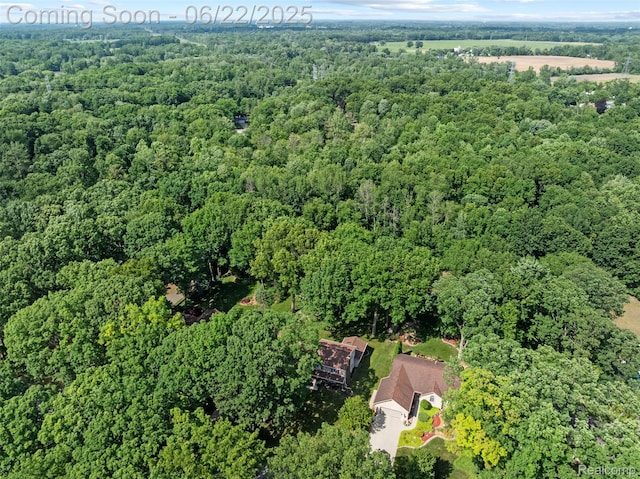 13256 Pine Valley Dr, Clio, MI 48420 - view of property location featuring a heavily wooded area