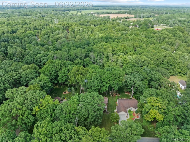 13256 Pine Valley Dr, Clio, MI 48420 - view of property location with a heavily wooded area