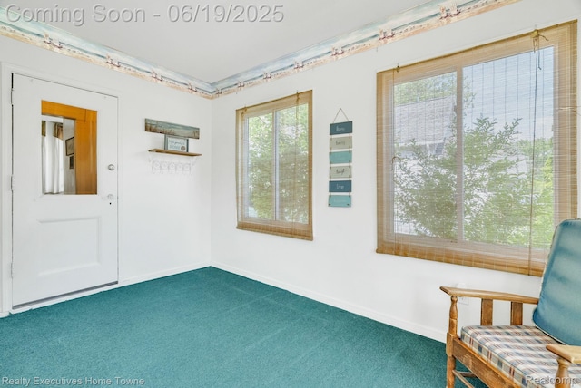 727 Minnie St, Port Huron, MI 48060 - unfurnished room with carpet flooring and baseboards