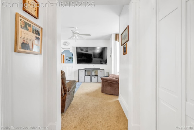 727 Minnie St, Port Huron, MI 48060 - hall featuring carpet flooring