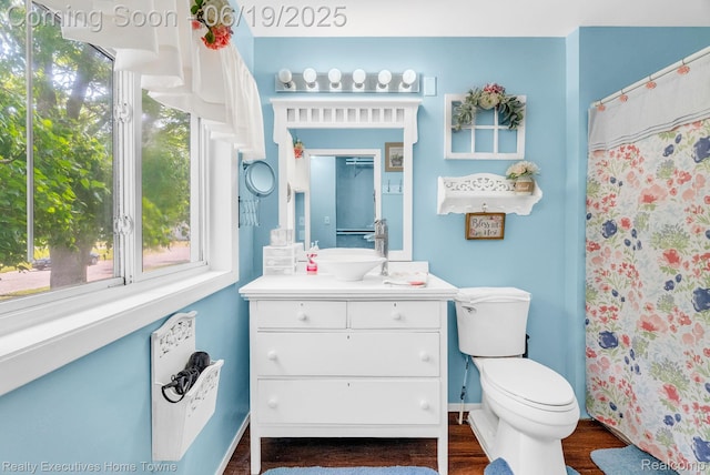 727 Minnie St, Port Huron, MI 48060 - bathroom featuring vanity, wood finished floors, and a shower with curtain