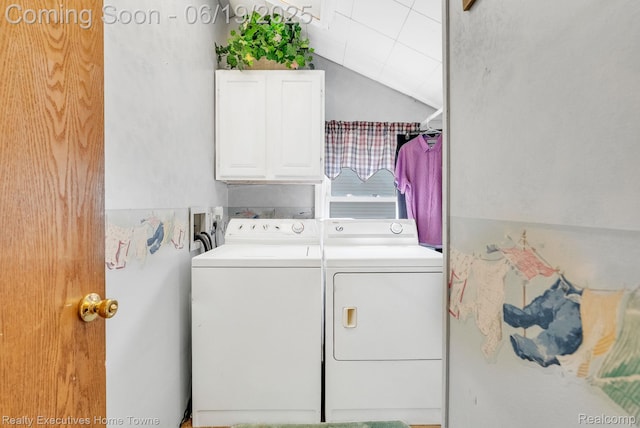 727 Minnie St, Port Huron, MI 48060 - washroom featuring cabinet space and separate washer and dryer