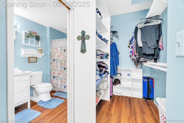 727 Minnie St, Port Huron, MI 48060 - spacious closet with wood finished floors