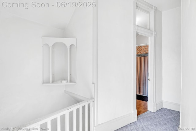 727 Minnie St, Port Huron, MI 48060 - hall with carpet flooring