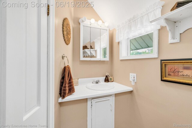 727 Minnie St, Port Huron, MI 48060 - bathroom featuring vanity and lofted ceiling