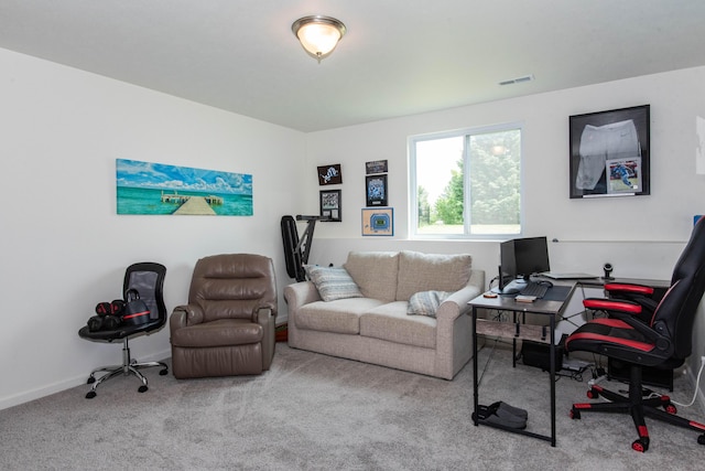 1633 Tea Pond Ct, Vicksburg, MI 49097 - carpeted home office featuring baseboards