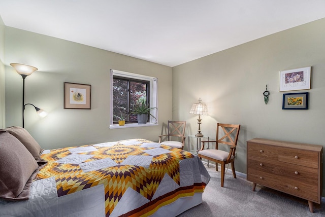 2519 Meade Ct, Ann Arbor, MI 48105 - view of carpeted bedroom