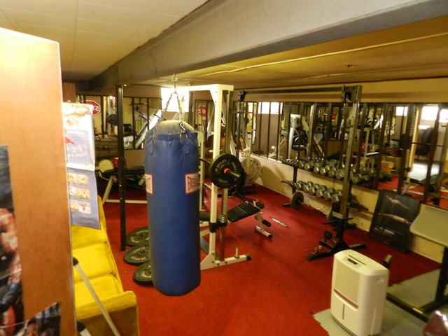 2865 Carrie Ln, Saint Joseph, MI 49085 - view of exercise room