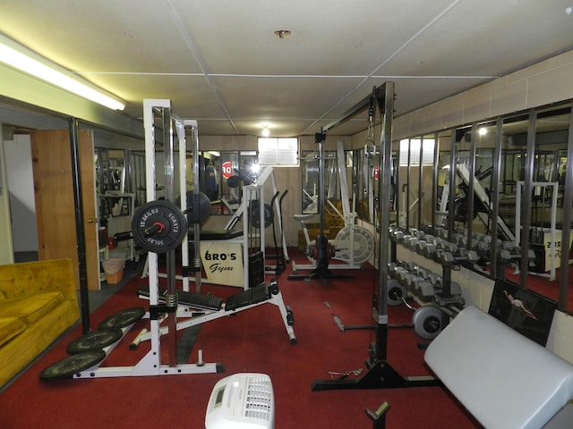 2865 Carrie Ln, Saint Joseph, MI 49085 - exercise room featuring plenty of natural light