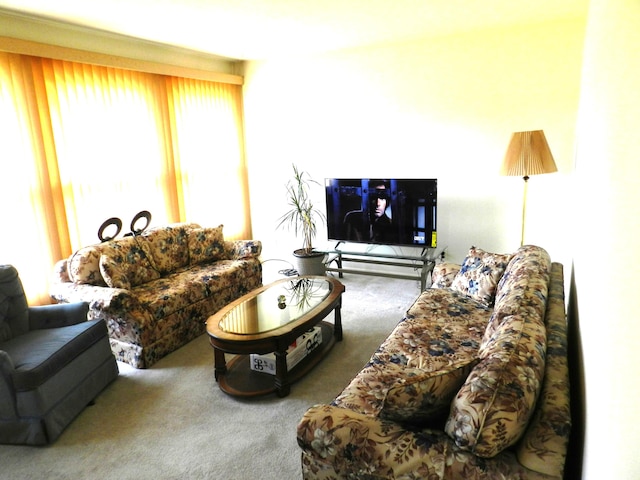 2865 Carrie Ln, Saint Joseph, MI 49085 - living room featuring carpet floors